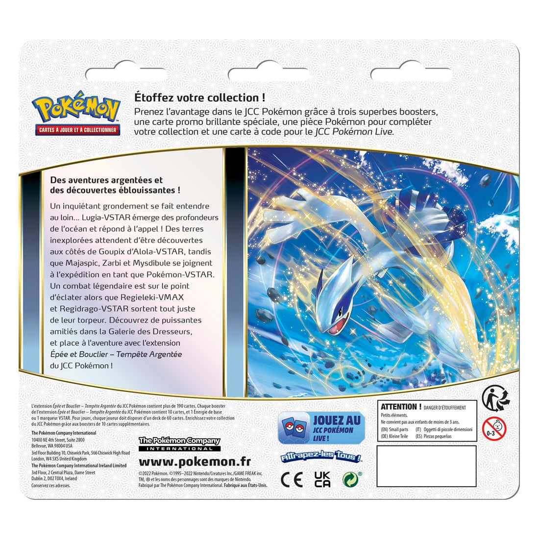 Carnet Pokémon EB12 - Tempête Argentée - Guide sur l'extension Pokémon -  UltraJeux