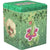 Tin Cube Pokémon - Type plante 2